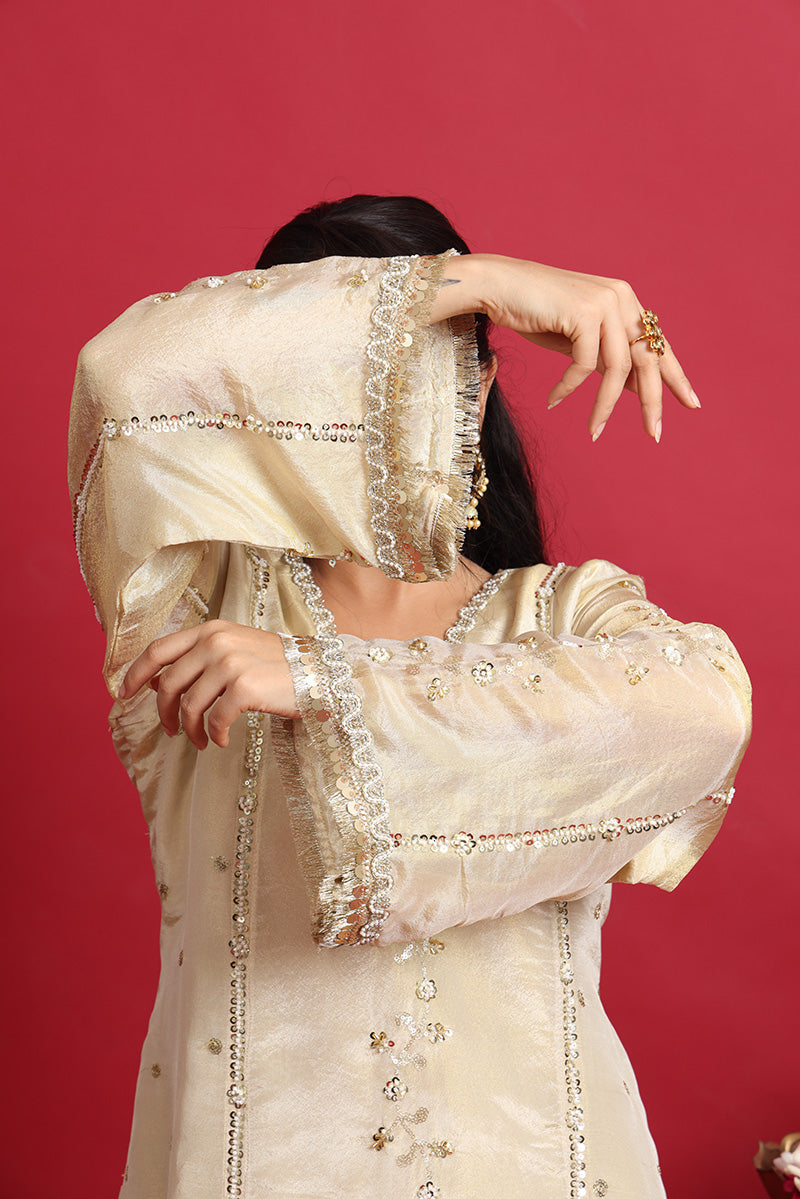 Ashnoor co-ord set