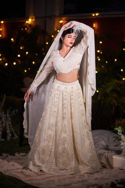 Fiona Heavy Lehenga Set