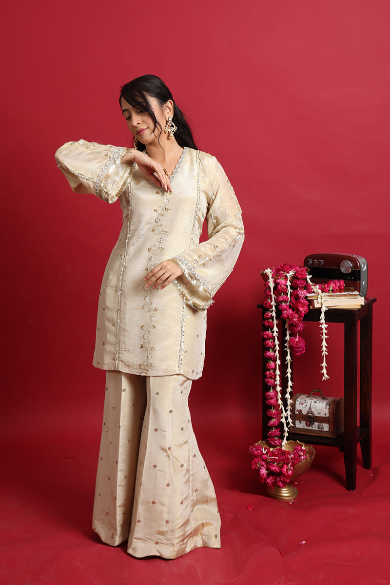 Ashnoor co-ord set