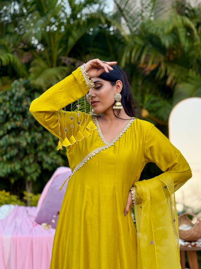 Manohari Anarkali