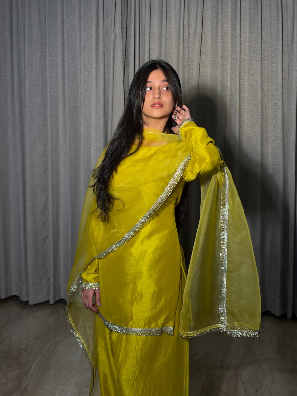Rehnuma Farshi Salwar Suit